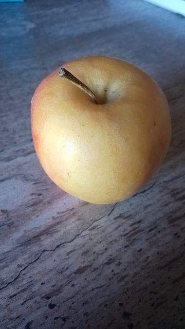 Он что то заподозрил