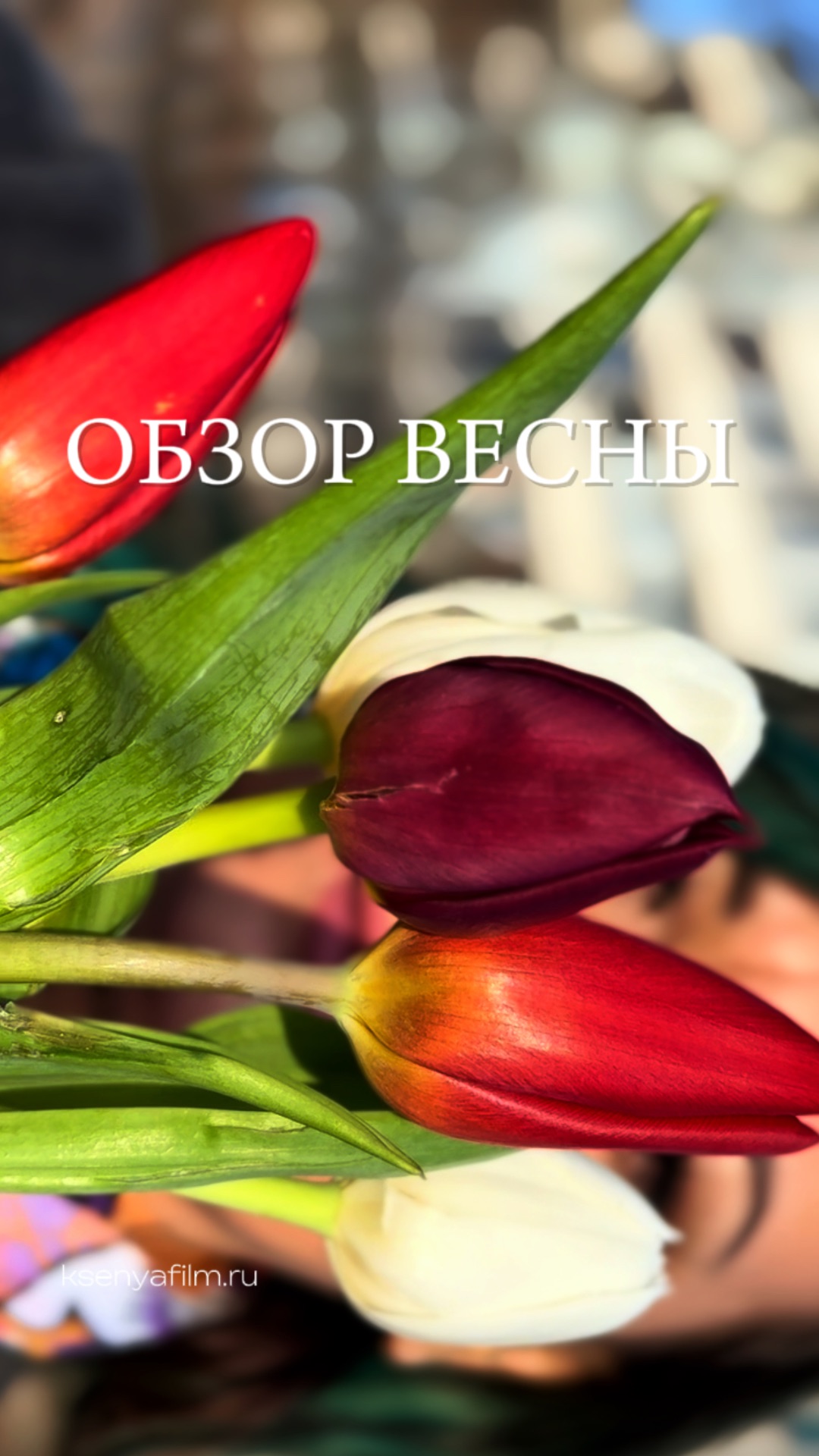 📲 Что можно снять на улице. Обзор весны 🌿