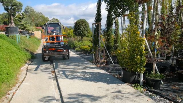 Сочинский питомник декоративных растений о погрузчике TAIAN DY1150.