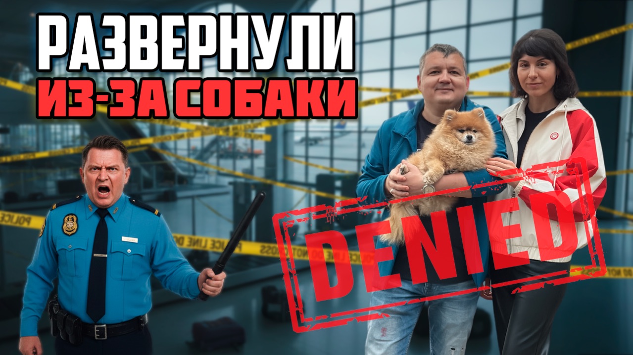 Нас развернули из-за собаки: самый сложный переезд в Грузию