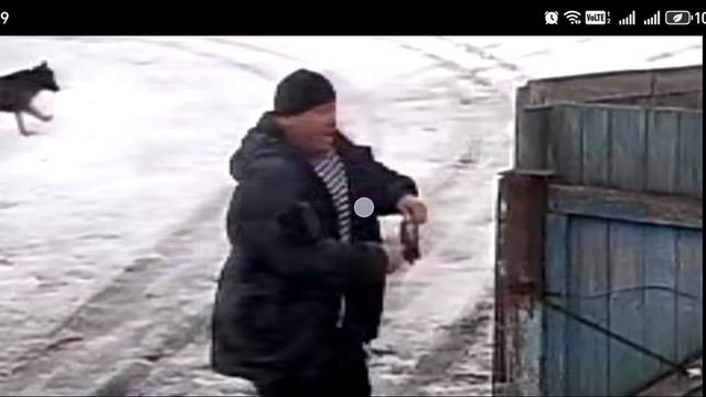 Вот такое было отношение к мои собакам 23 марта