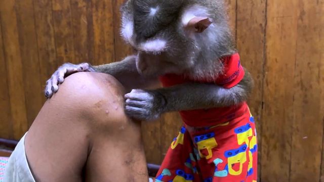 Успокаивающий уход от обезьянки | Концентрирует внимание и обеспечивает глубокий сон | ASMR