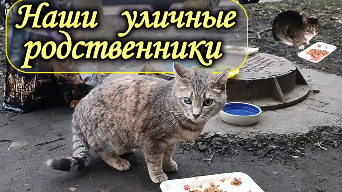 E26a5d054283c7f0d35d951b11a9b838