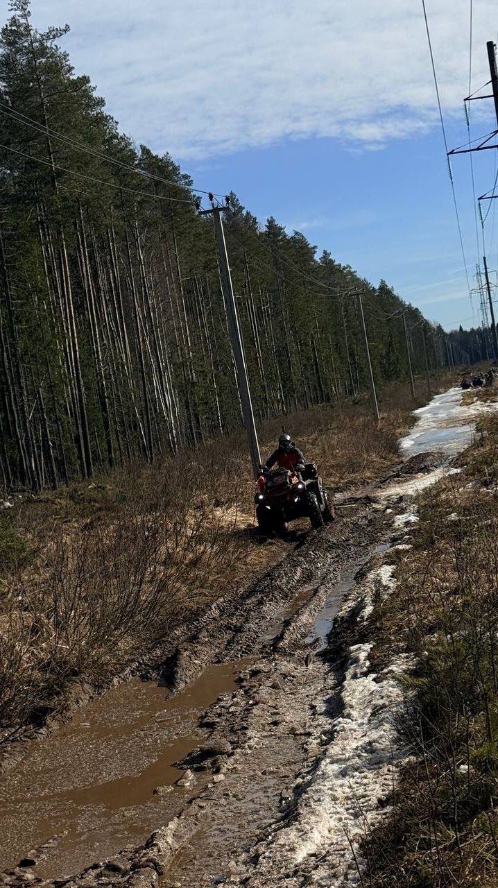 Счастье не покупается, оно создается 😎 Вместе с AODES 🔥