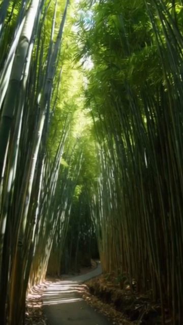 #природа #ландшафт #природныечудеса #животные #пейзажи #путешествия