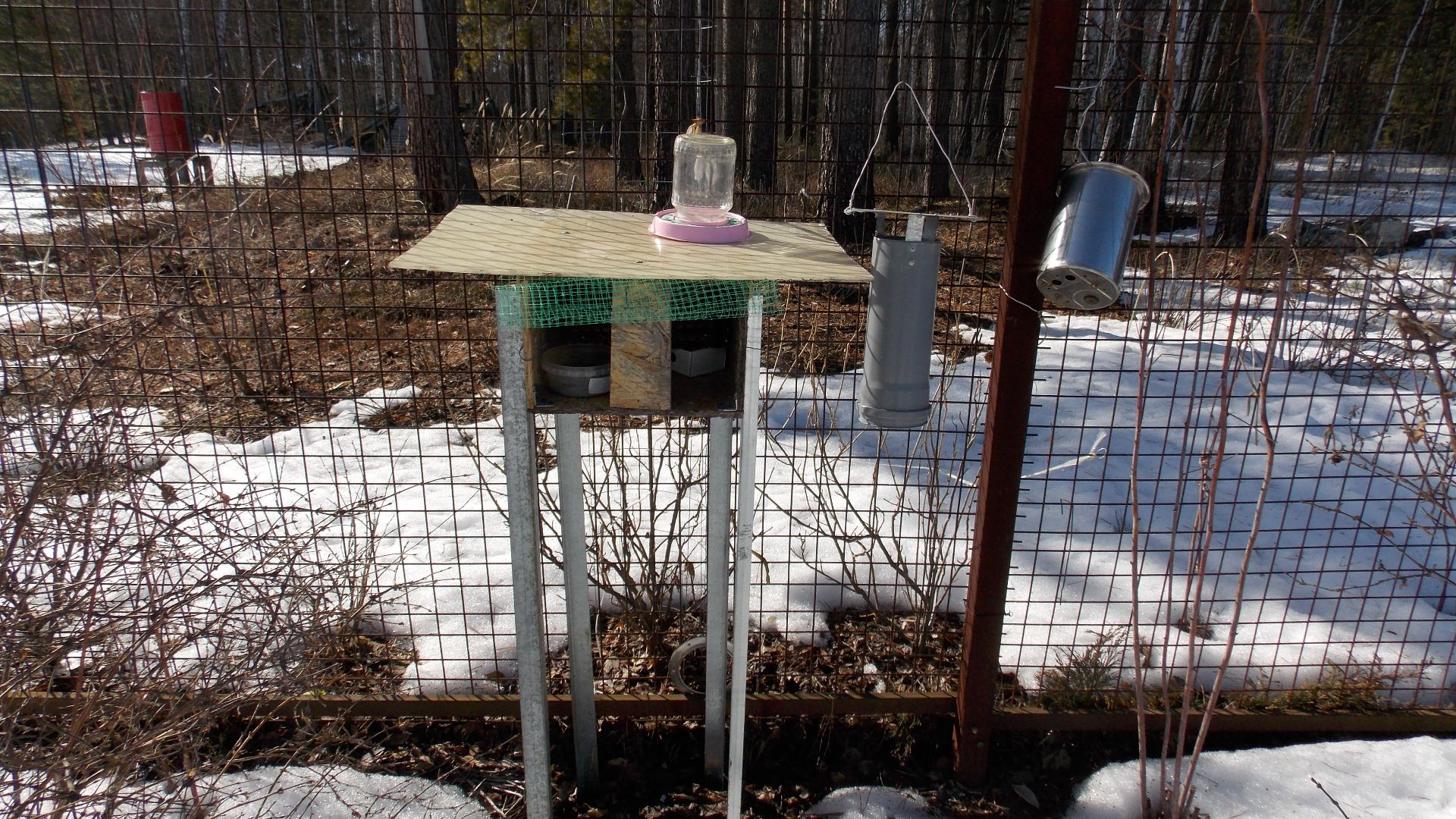 Домики для осмий, подготовка к новому сезону.