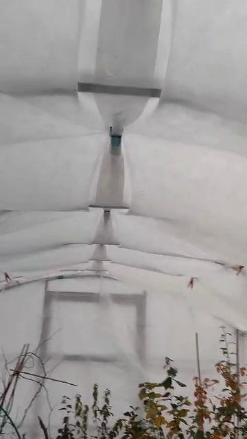 КАК ЗАЩИТИТЬ САЖЕНЦЫ ОТ ХОЛОДНЫХ ВЕТРОВ