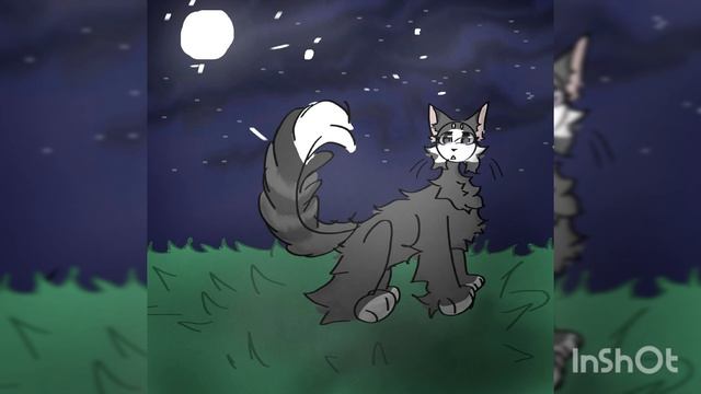 на конкурс белой маски 🥲👍