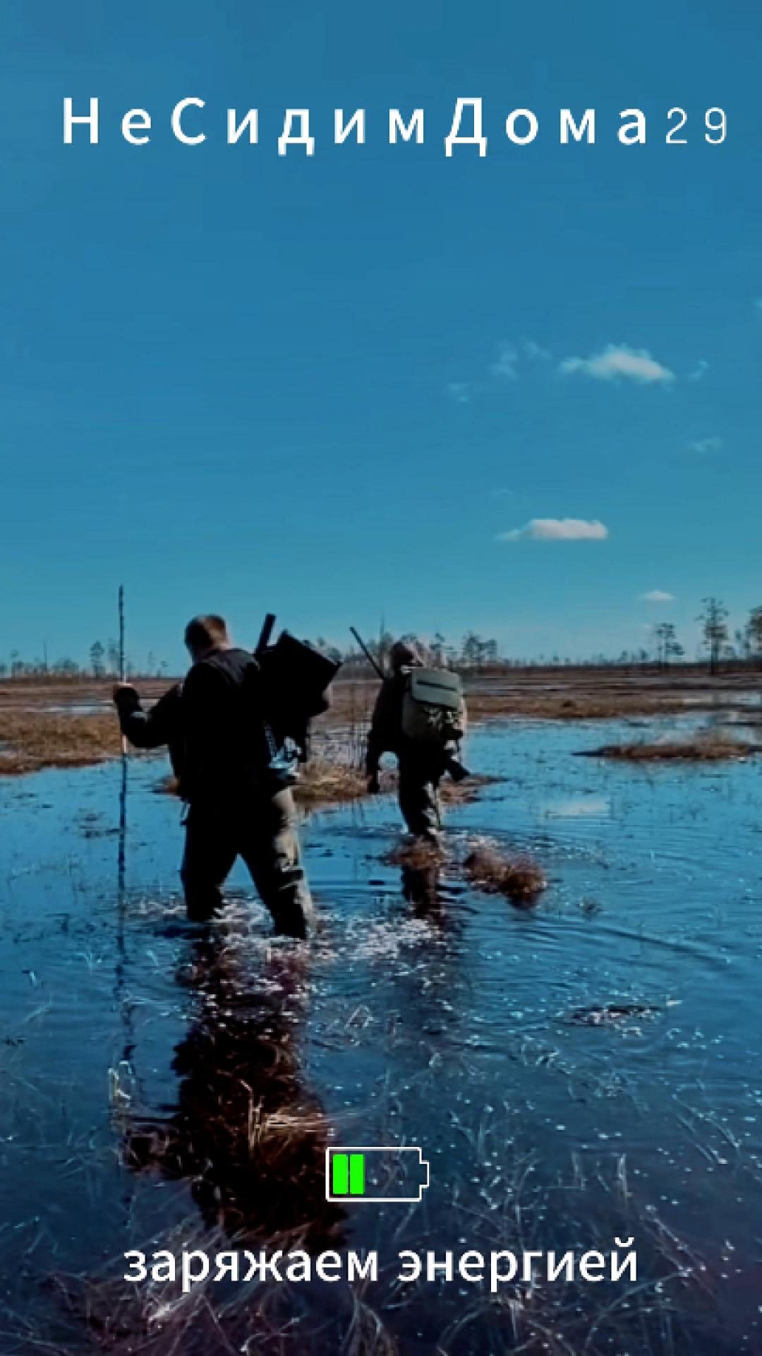 ЗАРЯЖАЕМ ЭНЕРГИЕЙ #путешествия #охотанагуся #болото