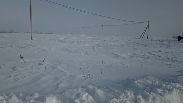 З/у с к.н. 50:28:0090222:709, расположенный по адресу: обл. Московская, г. Домодедово, д. Ляхово