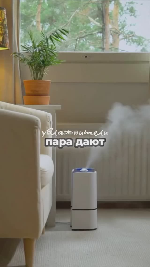 Работают ли увлажнители воздуха?✨