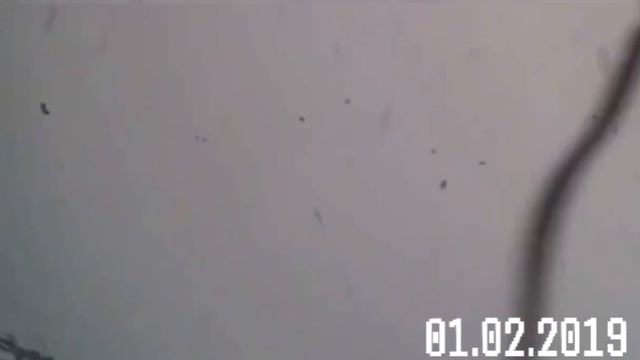 видео с видеорегистратора