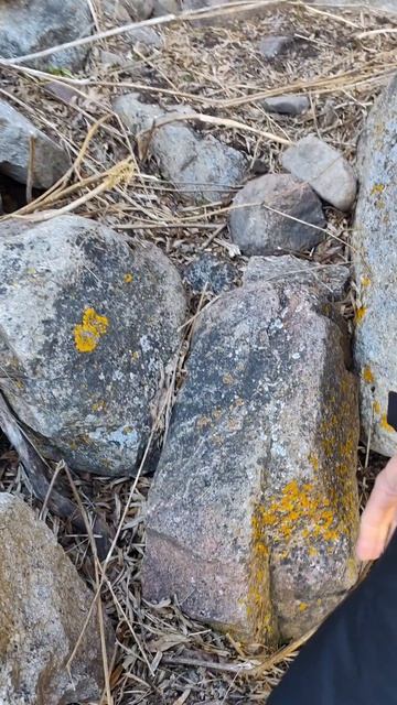 F026f666845c48ae688bccf1c3ed8b40