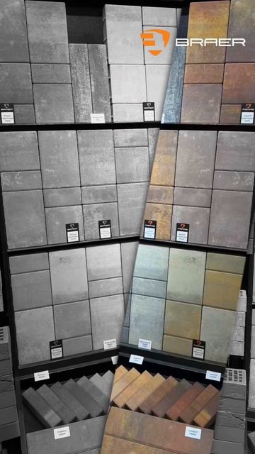 BRAER & Альфа-Центр