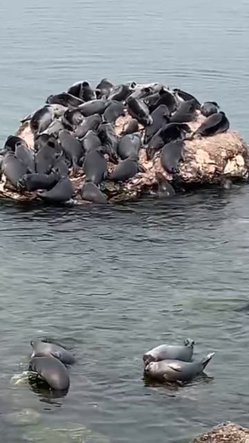 Байкал Гран Туризмо в репортажах от сопровождающей Юлии Жарких!