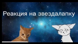 первая реакция! реакция на звездалапку