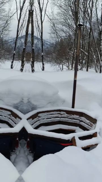 Снегири... Снежный кемпинг