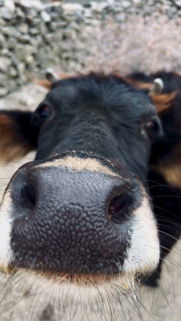 Модели городского транспорта: поезда и автомобили #город #модели #транспорт