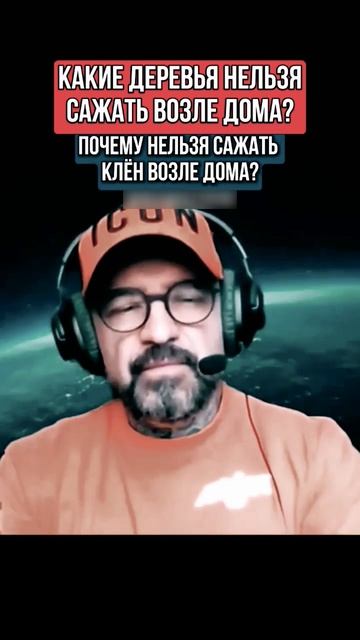 КЛЁН ВОЗЛЕ ДОМА!