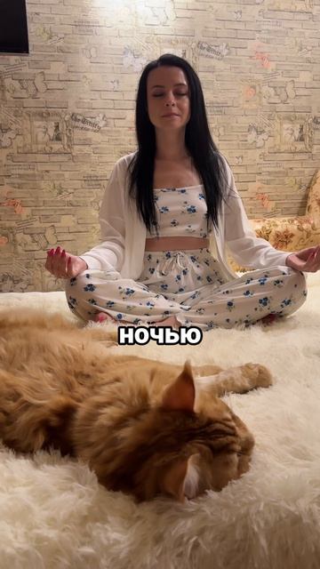 Роднулечки 😻 Похожи?