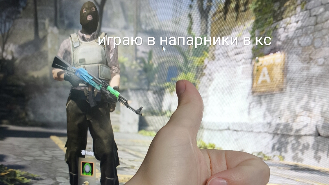 играю в кс (напарники)