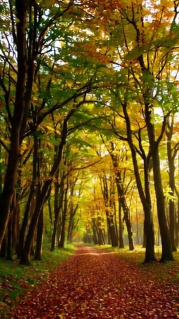 #вдохновение #саморазвитие #цели #идеи #позитив