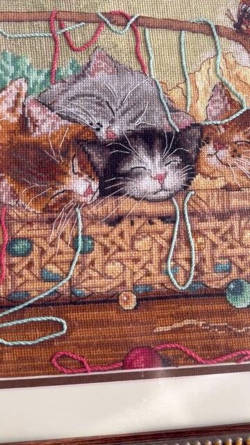 «Котята в корзинке» от Dimensions