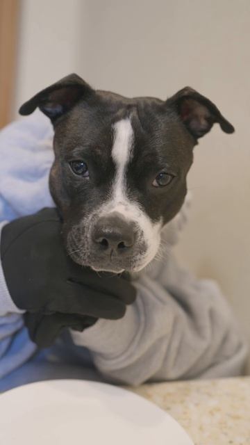 Обед не получился - мясо сгорело 🥩