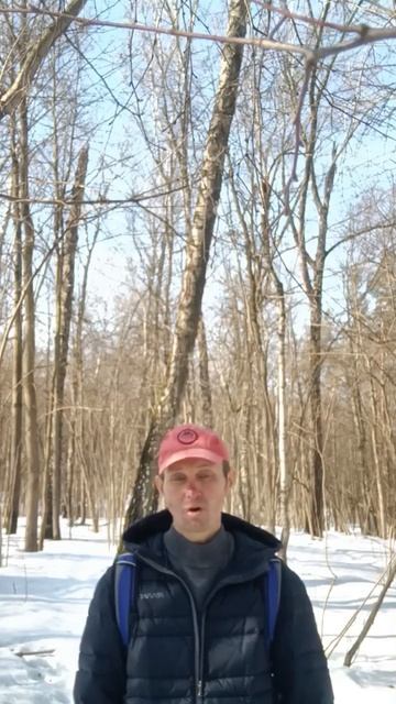 Станислав Прокофьев читает Игоря Губермана.