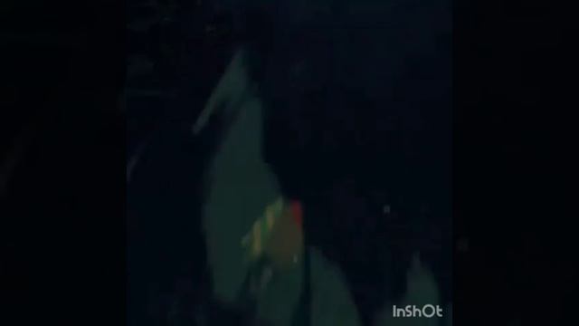 Томиока и Кочо