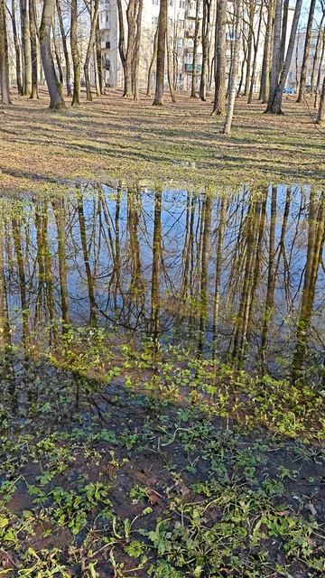 Мартовская вода