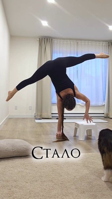 Стойка на одной руке | ЙогаБанда