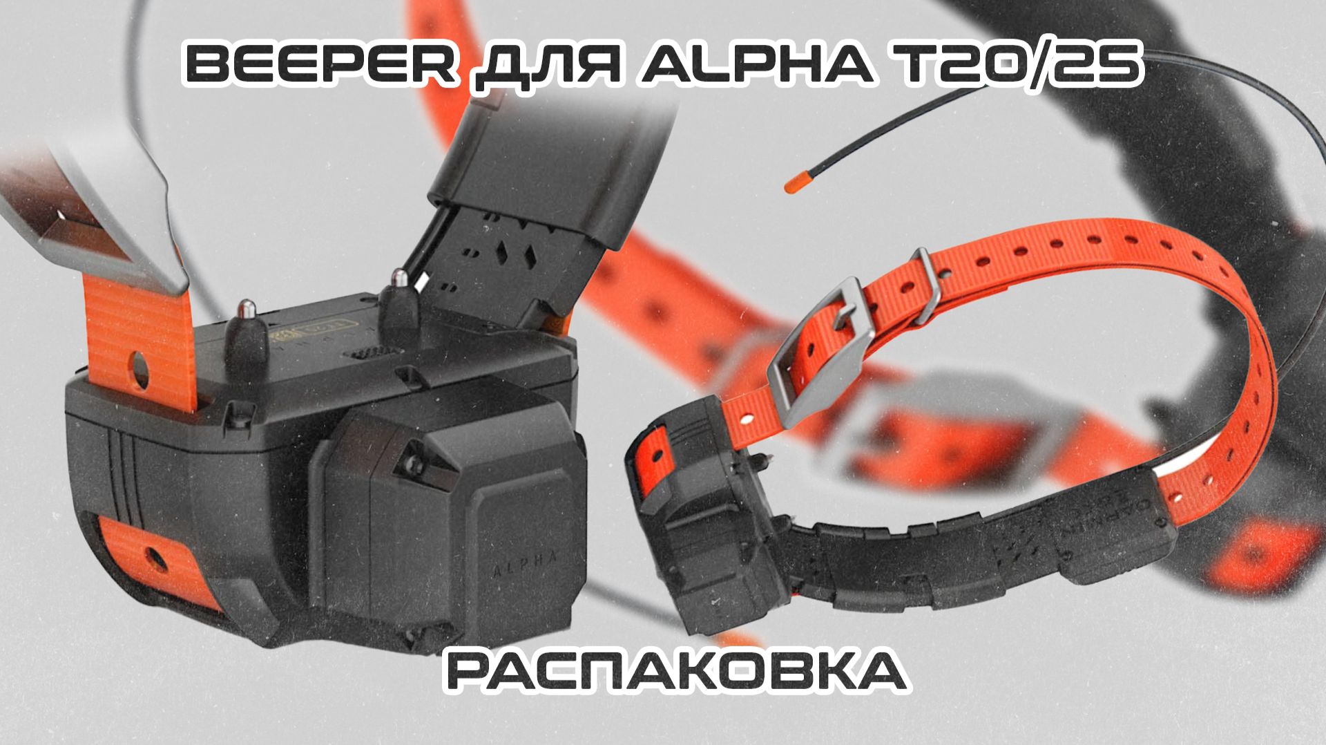 Ошейник с бипером для ALPHA T20&TT25 от Garmin | Распаковка и кратко про функции