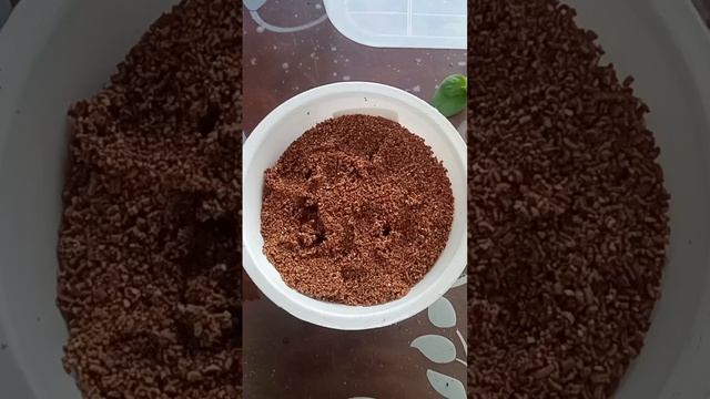 B897594d617ea8f753a23be1221ac9b6