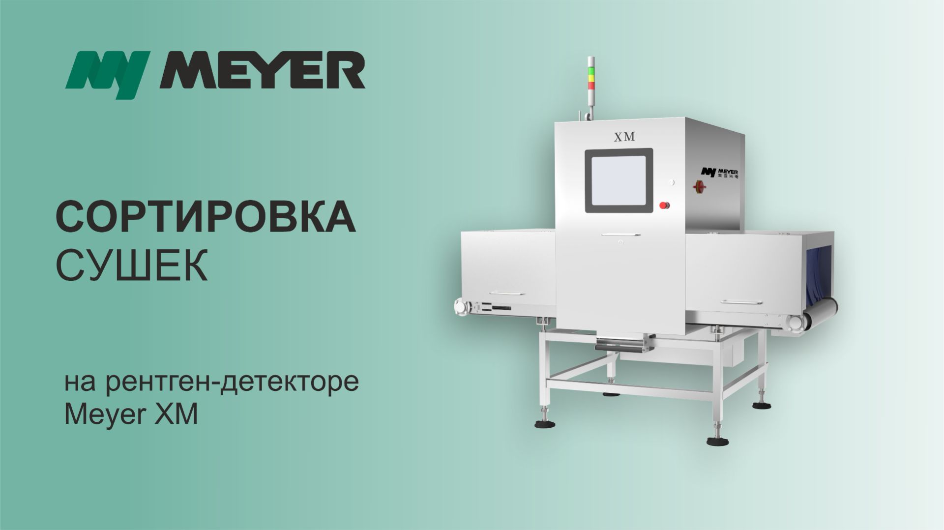 Сортировка сушек на рентген-детекторе Meyer серии XM