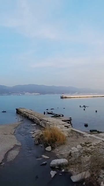 Жить у моря ❤️ эту песню написал ИИ