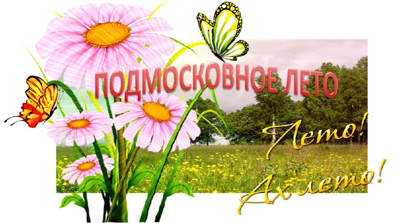 041-03-16-25 Подмосковное лето