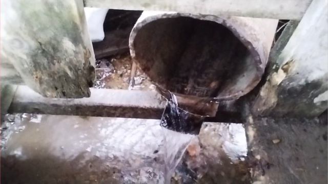 Весенняя✨ прогулка  на лесной🌲 ключик🏞️