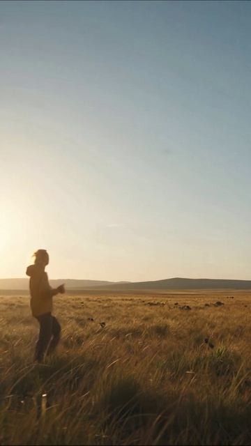 Природа в лучах заката #природа #закат #пейзаж