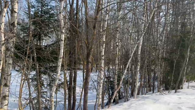 Лазарево 832