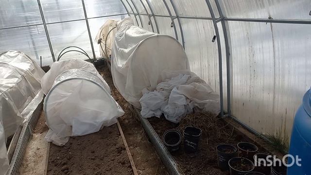 23 марта 2026 года. Готовлю теплицу к рассаде)))