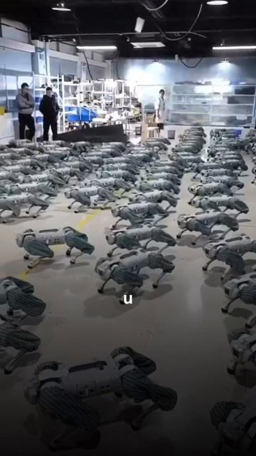 Большаг  в будущее