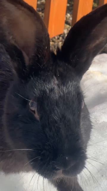 Кто понял жизнь, тот больше не спешит ⏰