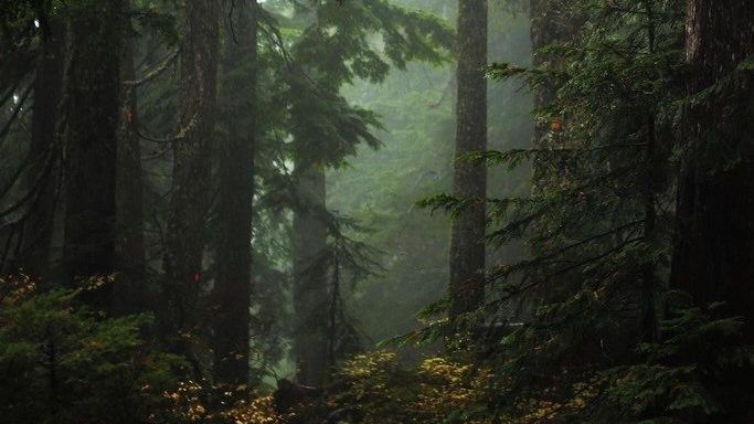 Minecraft 1 ЧАСТЬ