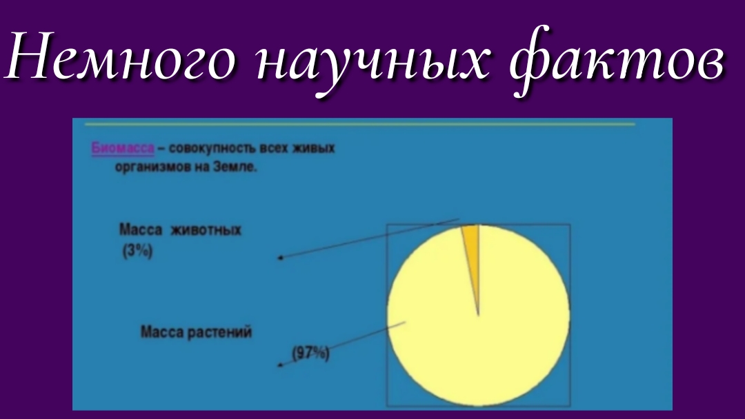Немного научных фактов