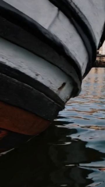 #loop #satisfying #oddlysatisfying