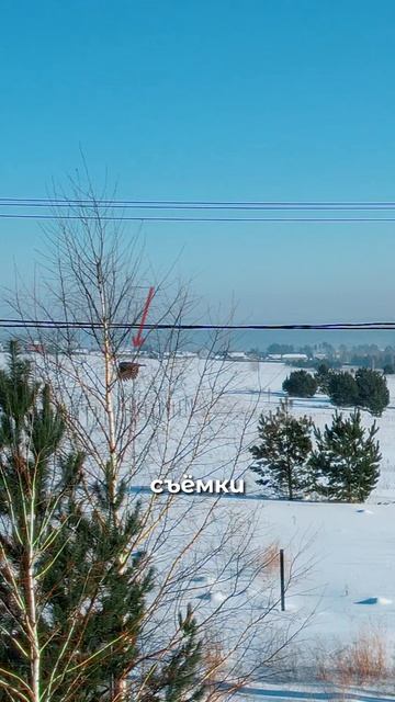 Контактный зоопарк в загородном поселке?