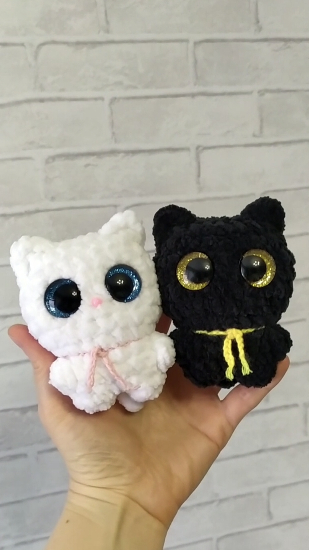 Коты и кошечка