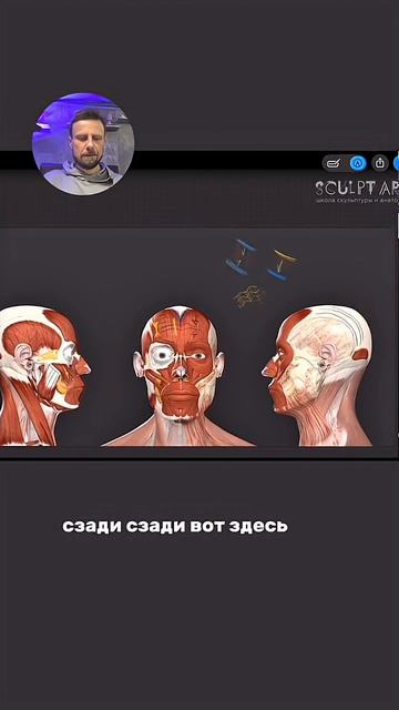 Анатомия эмоций. Часть 2.