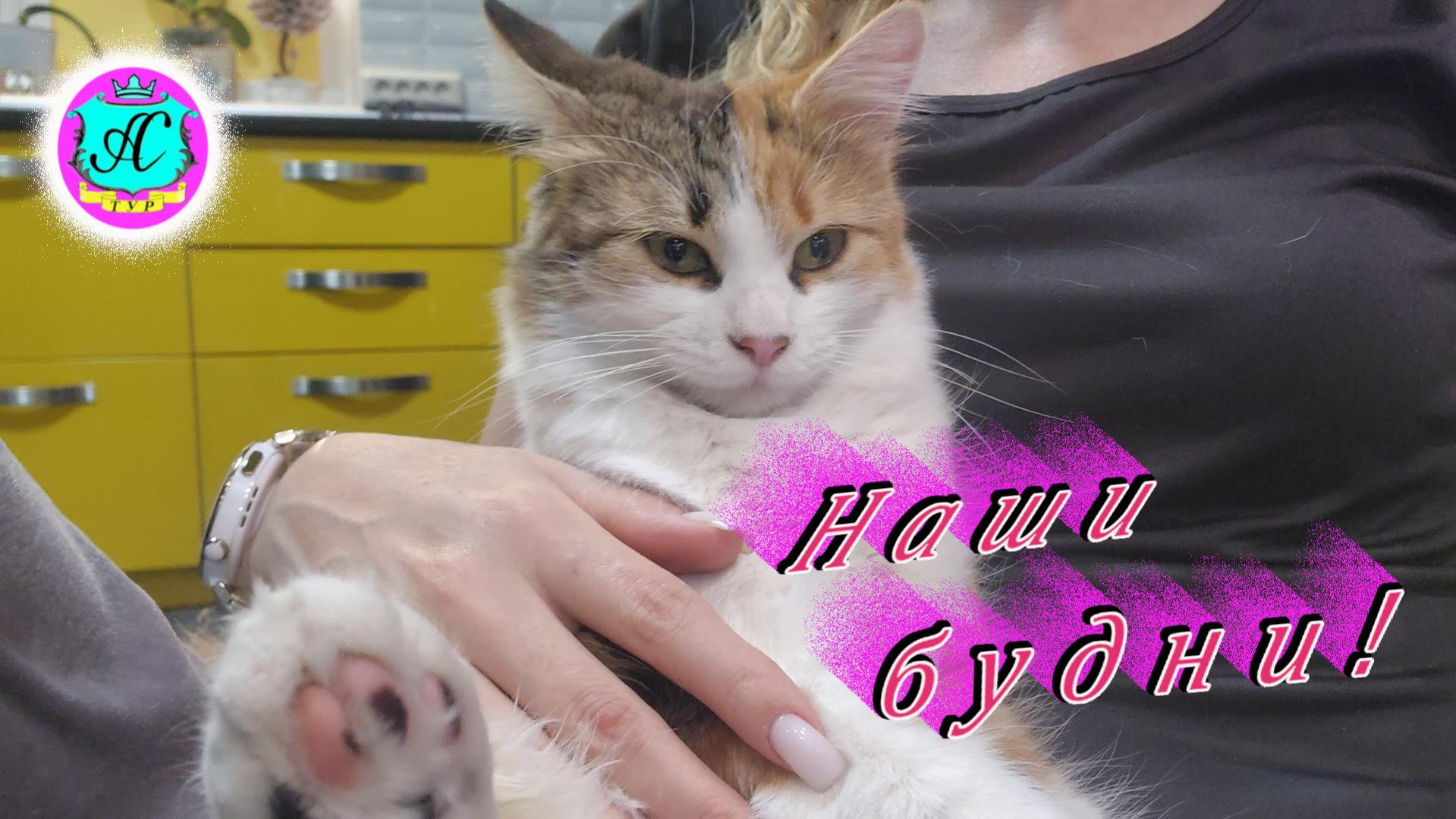 #Абхазия!🌴Сухум. Каштак. Гостевой Дом 